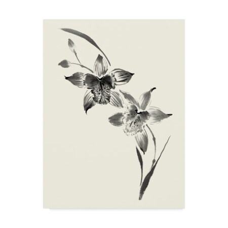 Trademark Fine Art Nan Rae 'Studies In Ink Cymbidium' Canvas Art, 14x19 WAG00897-C1419GG